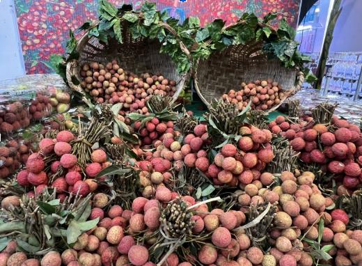 Loại quả ở Việt Nam bán rẻ như cho bỗng thành hàng hiệu xuất ngoại, chạm mốc 450.000 đồng/ ký vẫn được khách quốc tế vẫn ráo riết săn lùng- Ảnh 1.