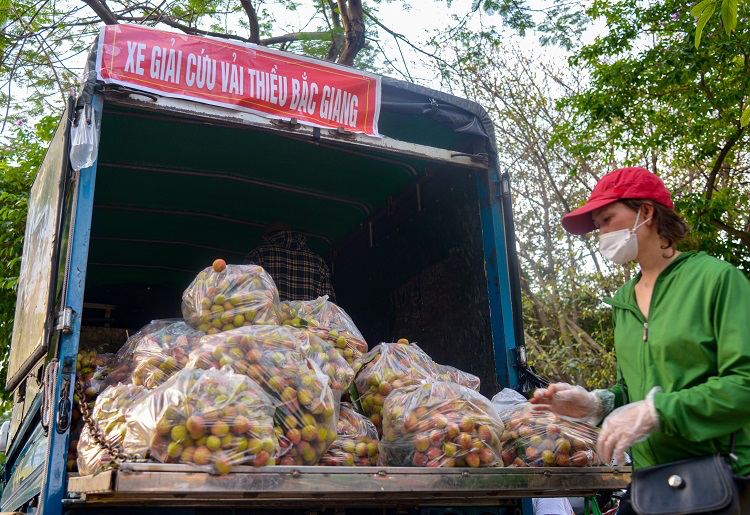 Loại quả ở Việt Nam bán rẻ như cho bỗng thành hàng hiệu xuất ngoại, chạm mốc 450.000 đồng/ ký vẫn được khách quốc tế vẫn ráo riết săn lùng- Ảnh 2.