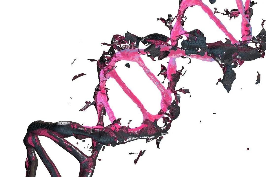 Một sinh vật đột biến đã được phát hiện ở Chernobyl, sở hữu những khả năng đặc biệt, bao gồm khả năng ăn bức xạ hạt nhân- Ảnh 3.