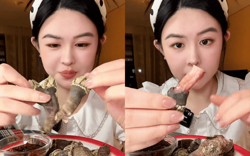 Hè đến rồi, loại ốc "ngón tay quỷ" này lại lên ngôi: Khó bắt - giá đắt, ở Việt Nam không phải vùng biển nào cũng có!- Ảnh 1.