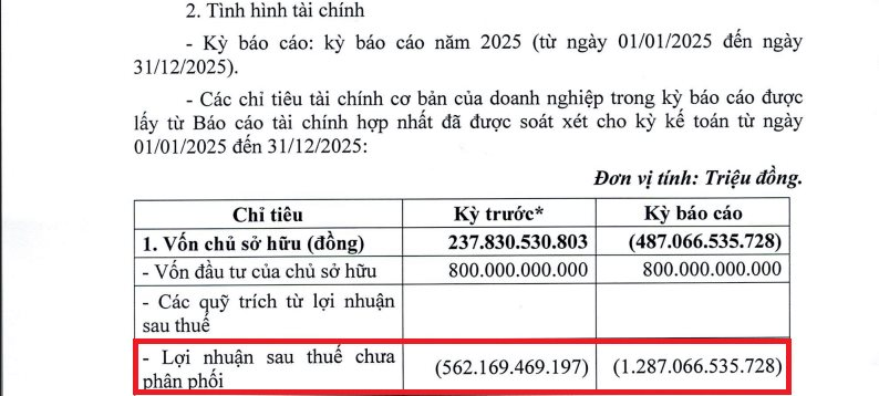 Lỗ kỷ lục gần 725 tỷ đồng, Tập đoàn Đua Fat (DFF) âm vốn sâu, đối mặt rủi ro hoạt động liên tục- Ảnh 1.