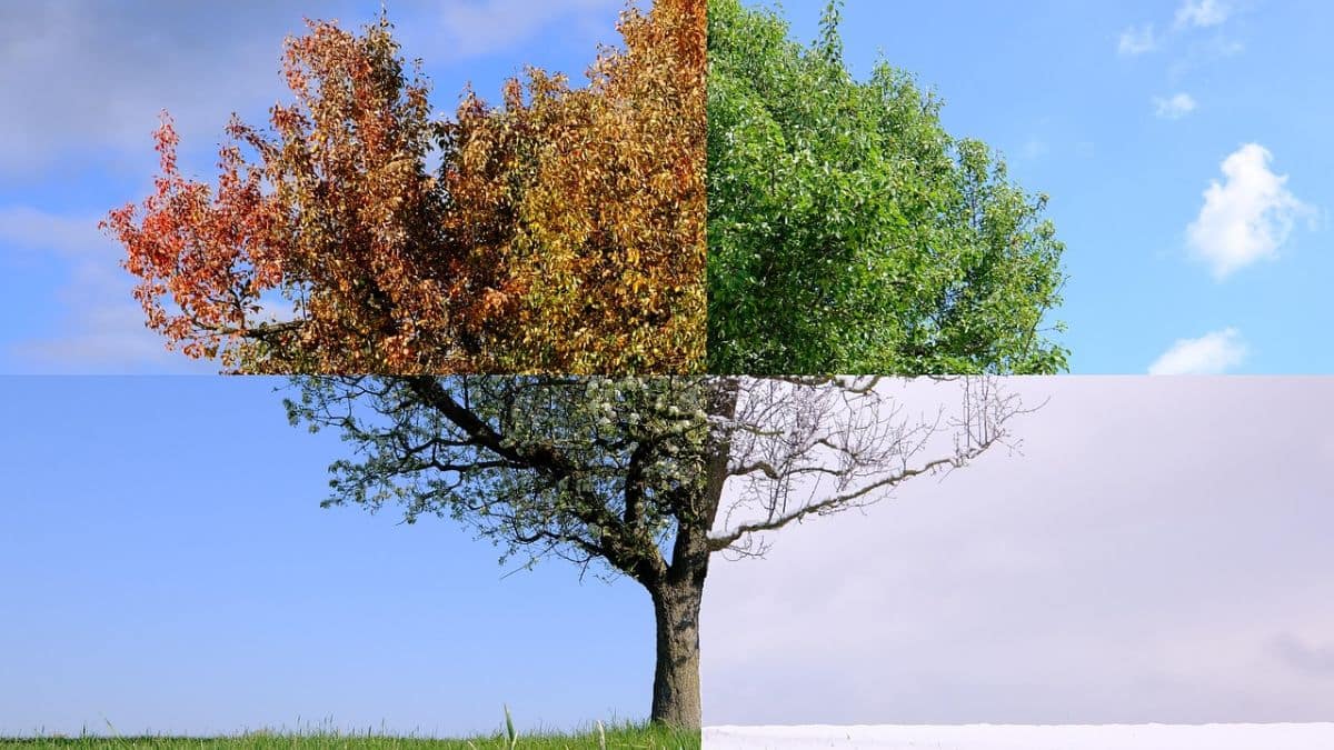 Lần đầu tiên, chúng ta đang không ở trong mùa nào - Ảnh 1.