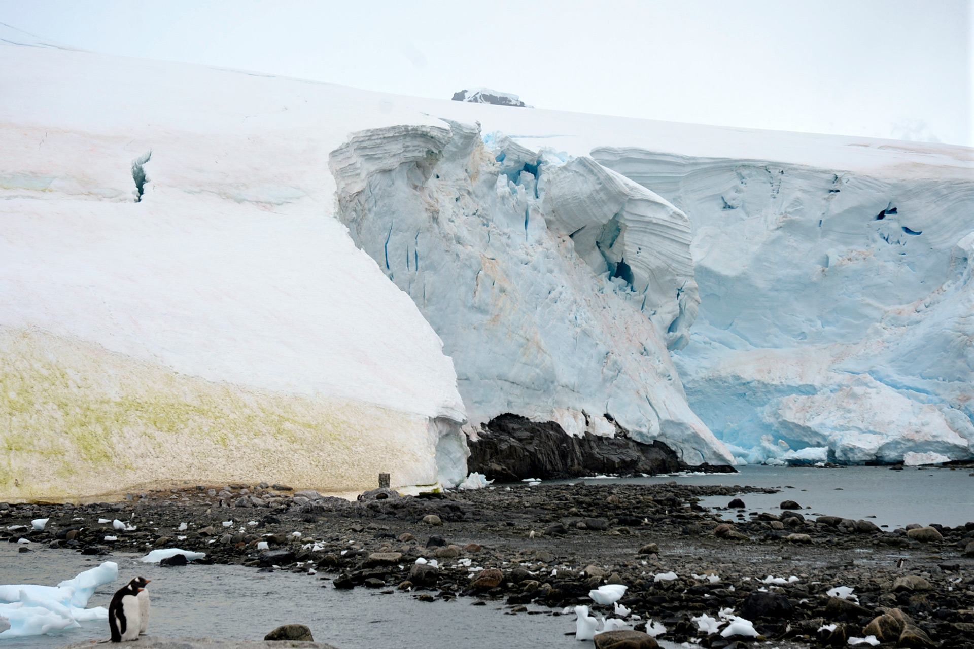 Thế giới sắp vĩnh viễn mất đi 1 màu sắc - Ảnh 1.