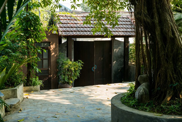 6 loại cây chớ nên trồng trước cửa nhà- Ảnh 1.