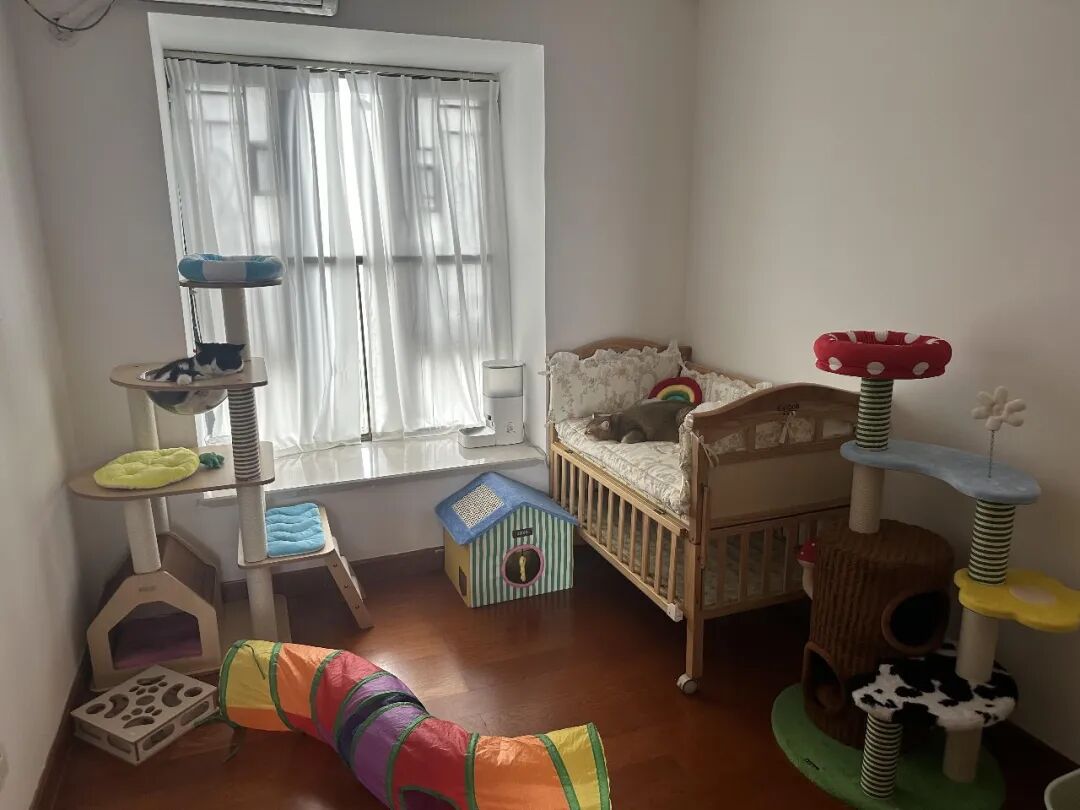 Có một kiểu hạnh phúc rất “đời thường”: 8 chi tiết thiết kế nhỏ giúp ngôi nhà sống càng lâu càng thấy dễ chịu- Ảnh 9.