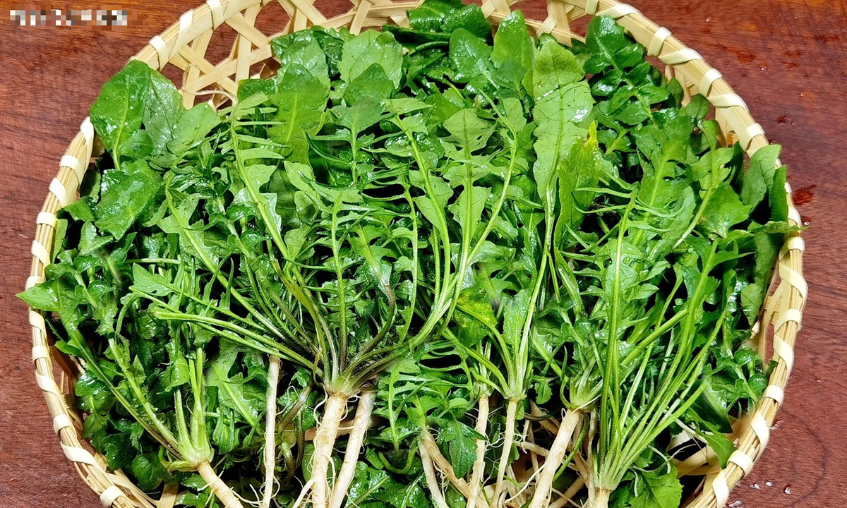 Ăn 1 mớ rau này tốt ngang thịt bò, mọc đầy bờ rào ai không biết hơi phí- Ảnh 2.