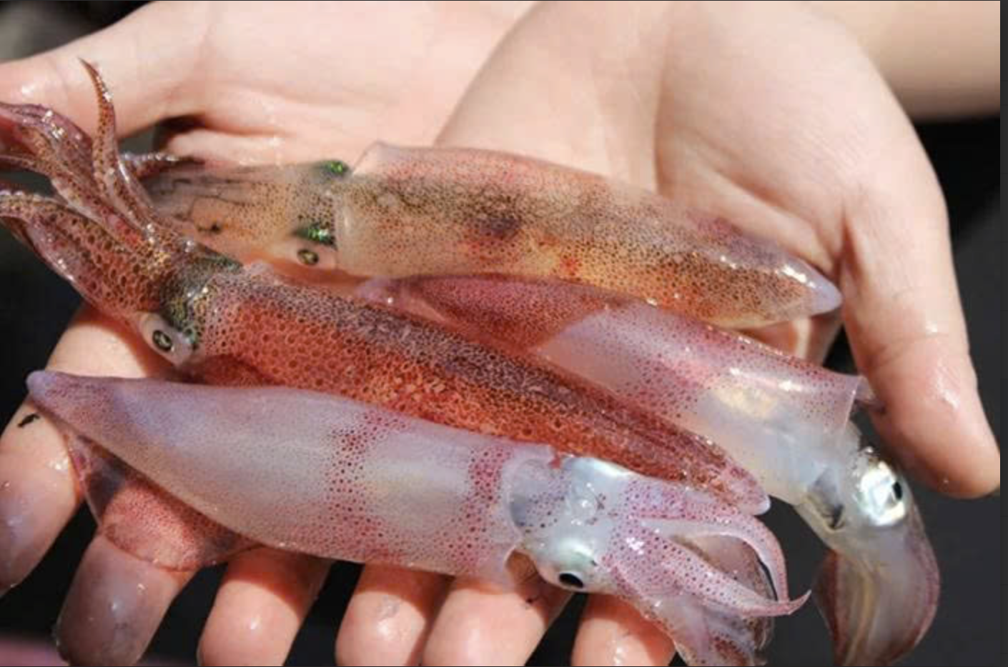 Hiện tượng lạ du lịch miền Trung: Tọa độ bí ẩn hút 80 vạn khách chỉ trong 3 tháng nhờ cảnh đẹp nguyên sơ mà chi phí rẻ giật mình!- Ảnh 7.