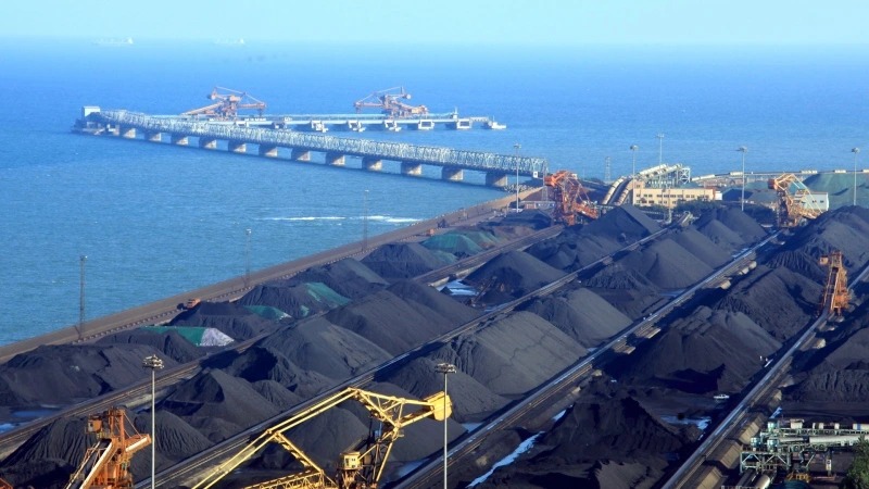 'Kim cương đen' của Việt Nam lên ngôi giữa 'cơn khát' năng lượng - Tăng mạnh hơn 100% về lượng, Nhật Bản, Indonesia tranh mua - Ảnh 2.