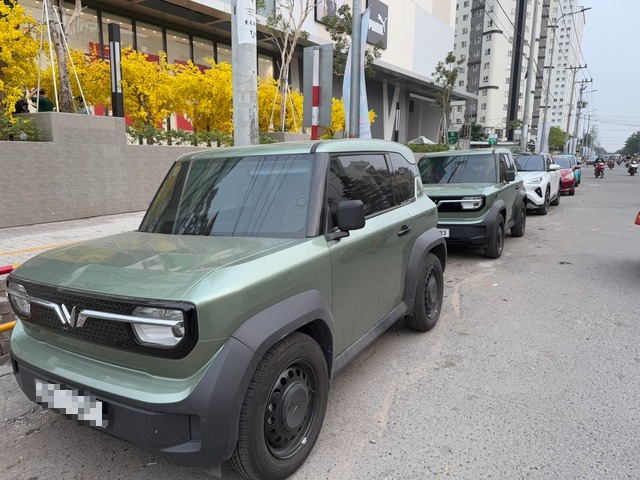 Vì sao Bộ Tài chính đề xuất tiếp tục ưu đãi thuế với xe điện đến hết năm 2030?  - Ảnh 1.