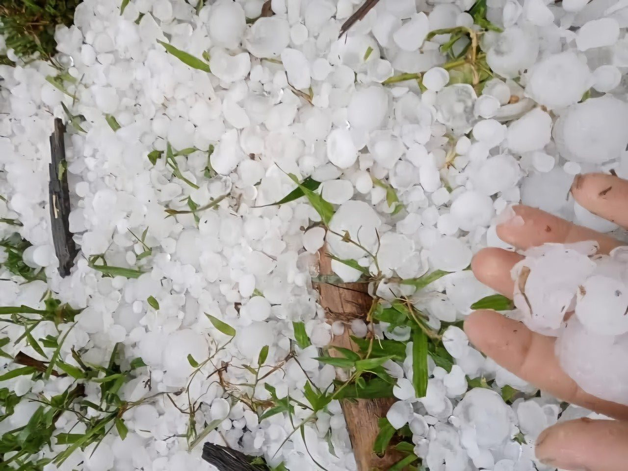 Không khí lạnh yếu tràn xuống miền Bắc: Cảnh báo lốc , sét và mưa đá 2026 - Ảnh 1. Không khí lạnh yếu tràn xuống miền Bắc: Cảnh báo lốc , sét và mưa đá 2026 - Ảnh 1.