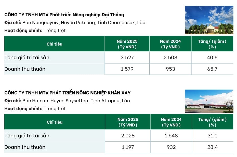 Sắp IPO công ty con, Bầu Đức tự tin: "Ai gan cam kết như HAGL, cổ tức tiền mặt 50% trong 3 năm"- Ảnh 3.