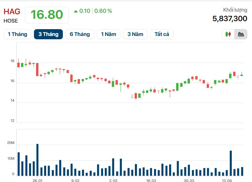 Sắp IPO công ty con, Bầu Đức tự tin: "Ai gan cam kết như HAGL, cổ tức tiền mặt 50% trong 3 năm"- Ảnh 4.