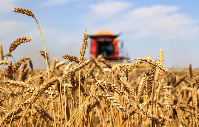 Kỹ sư Nga - Ảnh 1.