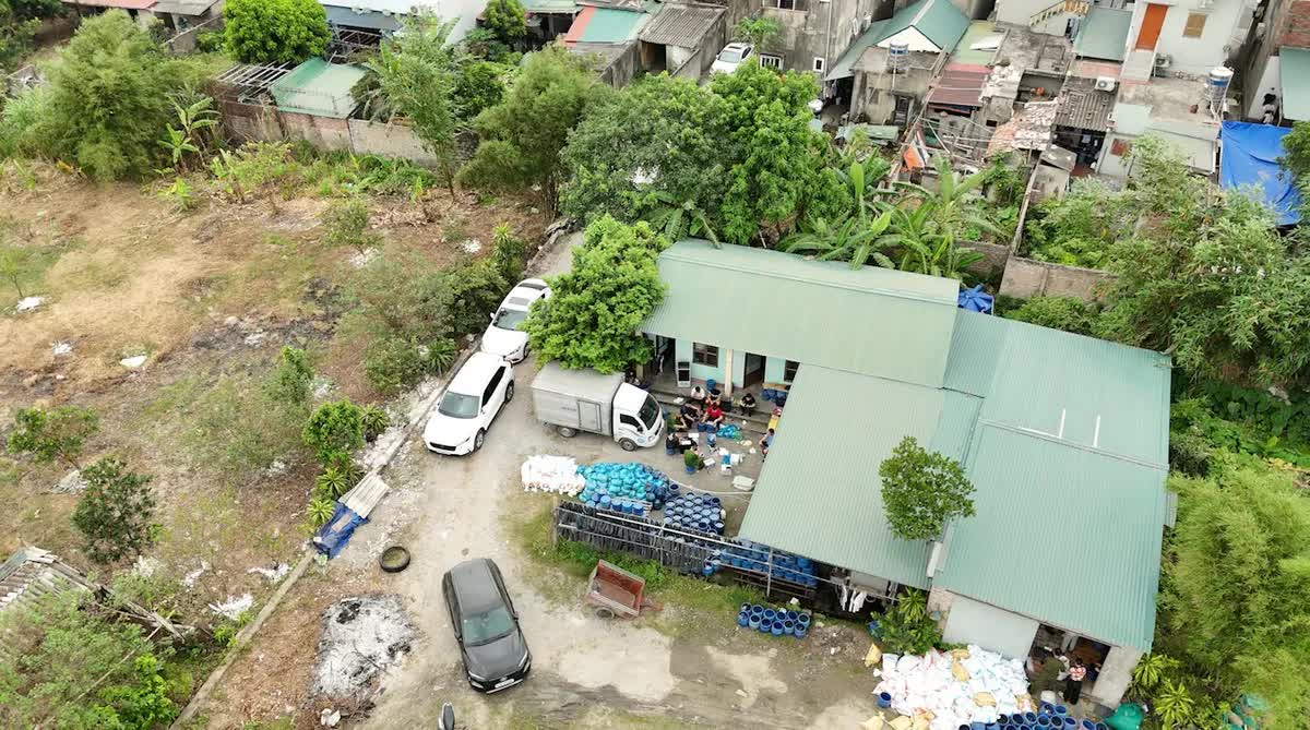 Đột kích xưởng sản xuất giá đỗ sử dụng chất cấm tại Quảng Ninh, thu giữ 4 tấn hàng- Ảnh 1.