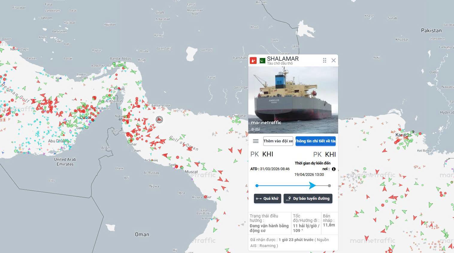 Tàu chở dầu Pakistan hiếm hoi vượt eo biển Hormuz giữa vòng phong tỏa của Mỹ - Ảnh 2.