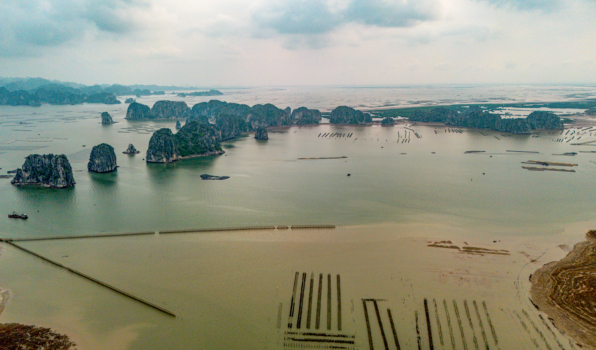 Toàn cảnh siêu dự án 18 tỷ USD của Vinhomes:  Rộng như một thành phố- Ảnh 9.