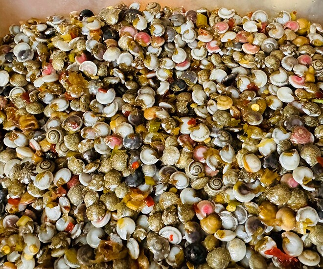 Giá vàng đu đỉnh cũng không bằng lon ốc lể miền Trung- Ảnh 3.