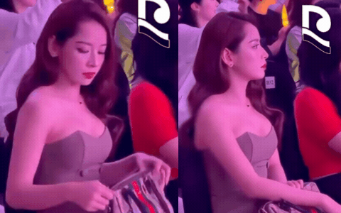 Mối quan hệ giữa Chi Pu và "công chúa Kpop" đời đầu, 1 hành động đặc biệt ngay tại Việt Nam- Ảnh 1.