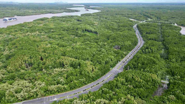 TPHCM đề xuất rót 19.000 nghìn tỷ nghiên cứu mở rộng đường Rừng Sác lên 10 làn xe- Ảnh 1.