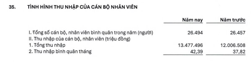 Nhân sự ngân hàng lớn nhất Việt Nam có thu nhập bao nhiêu?- Ảnh 1.