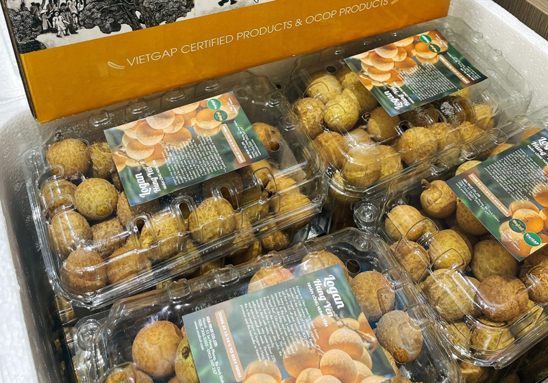 Loại quả bán đầy chợ Việt giá 15.000 đồng: Sang châu Âu hóa 'hàng hiệu' 600.000 đồng/kg, thu chục triệu USD - Ảnh 2.