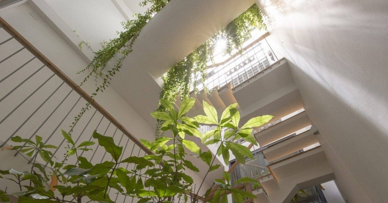 Cảnh báo đặc biệt tới những nhà đang trồng lan - Ảnh 3.