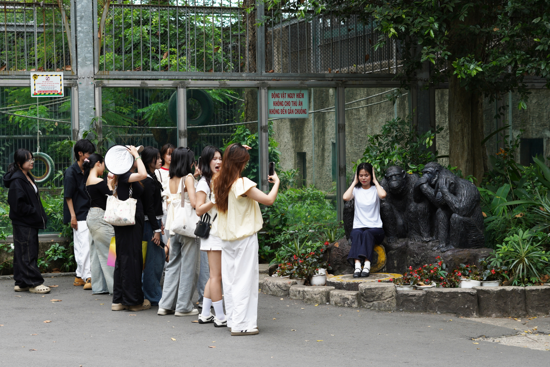 Sau loạt cảnh báo leo trèo nguy hiểm tại Thảo Cầm Viên: Giới trẻ nâng cao ý thức, đội nắng xếp hàng săn ảnh giống Sơn Tùng MTP- Ảnh 4.