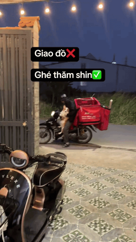 2h chiều khách đang ngủ trưa, shipper bị camera an ninh ghi lại chuỗi hoạt động âm thầm- Ảnh 6.