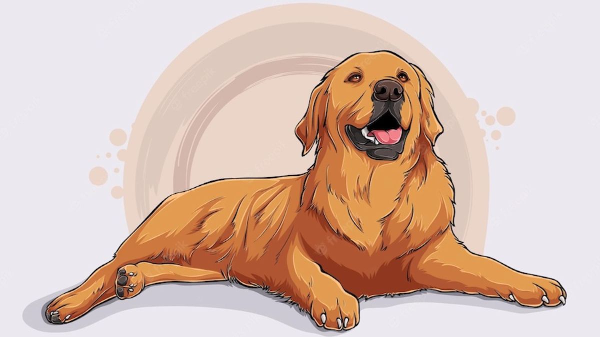 Chuyên gia dự báo: Từ nay đến trước Tết 2027, 3 tuổi này dễ chốt mua nhà, tài chính dần ổn định hơn - Ảnh 3.