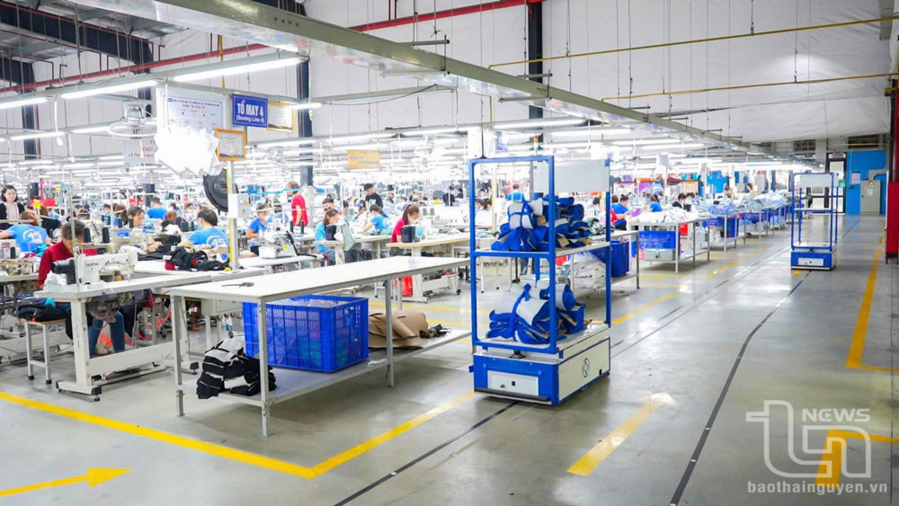 "Không tăng năng suất, chỉ có chết": Trước sự thật khắc nghiệt, đại gia dệt may Việt Nam tự chế tạo robot với giá bằng một nửa Trung Quốc- Ảnh 2.