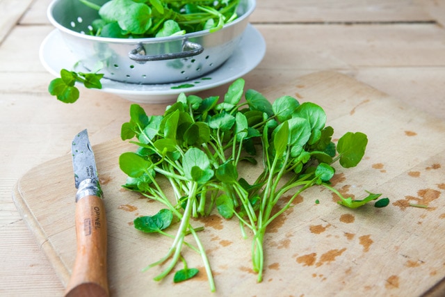 Loại rau tốt nhất thế giới với mật độ dinh dưỡng dày đặc: Việt Nam không thiếu - Ảnh 1.