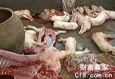 "Đại án" 1.000 tấn thịt lợn bẩn tại Trung Quốc: "Xác thối" hoá kiếp thành dầu ăn, xúc xích, quy trình khiến nhiều người rùng mình- Ảnh 1.