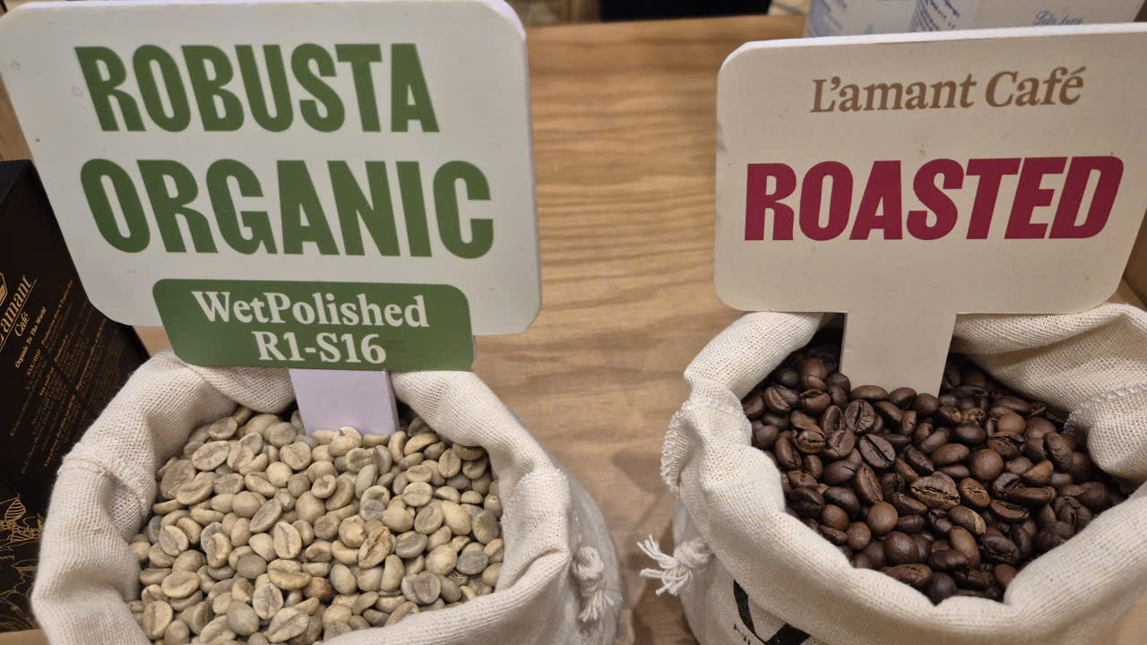 Giá cà phê hôm nay 2 - 4: Vua xuất khẩu lên kế hoạch trồng 24 . 000 Ha cà phê - Ảnh 4.