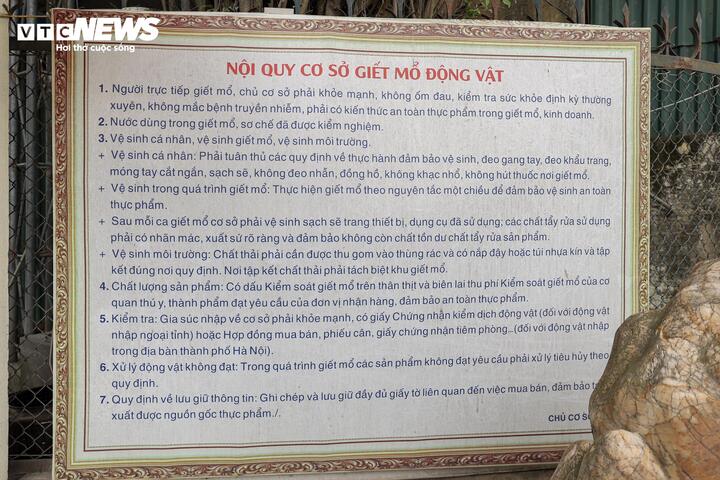 Cận cảnh lò mổ tuồn gần 300 tấn lợn bệnh vào trường học, chợ đầu mối ở Hà Nội- Ảnh 8.