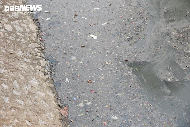 Sau 6 tháng hồi sinh, dòng 'sông chết' ở Hà Nội thay đổi ra sao?- Ảnh 12.