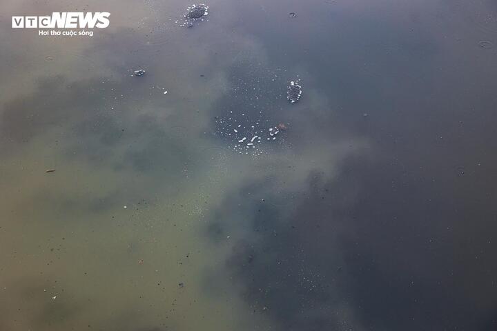 Sau 6 tháng hồi sinh, dòng 'sông chết' ở Hà Nội thay đổi ra sao?- Ảnh 13.