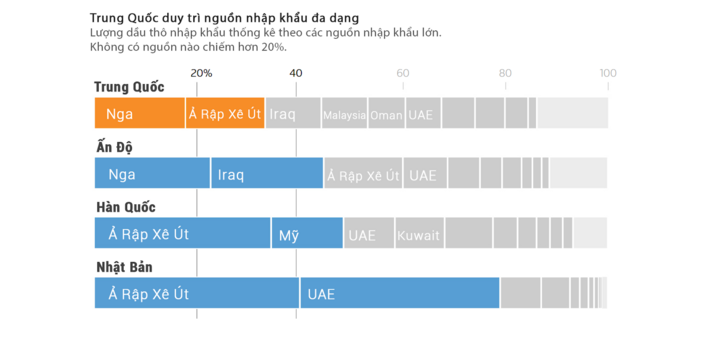Infographic: Trung Quốc vượt qua 'cú sốc' eo biển Hormuz thế nào?- Ảnh 4.