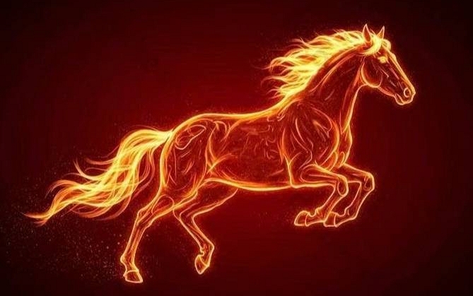 Lời khuyên đến những gia đình đang trồng cây lưỡi hổ - Ảnh 3.