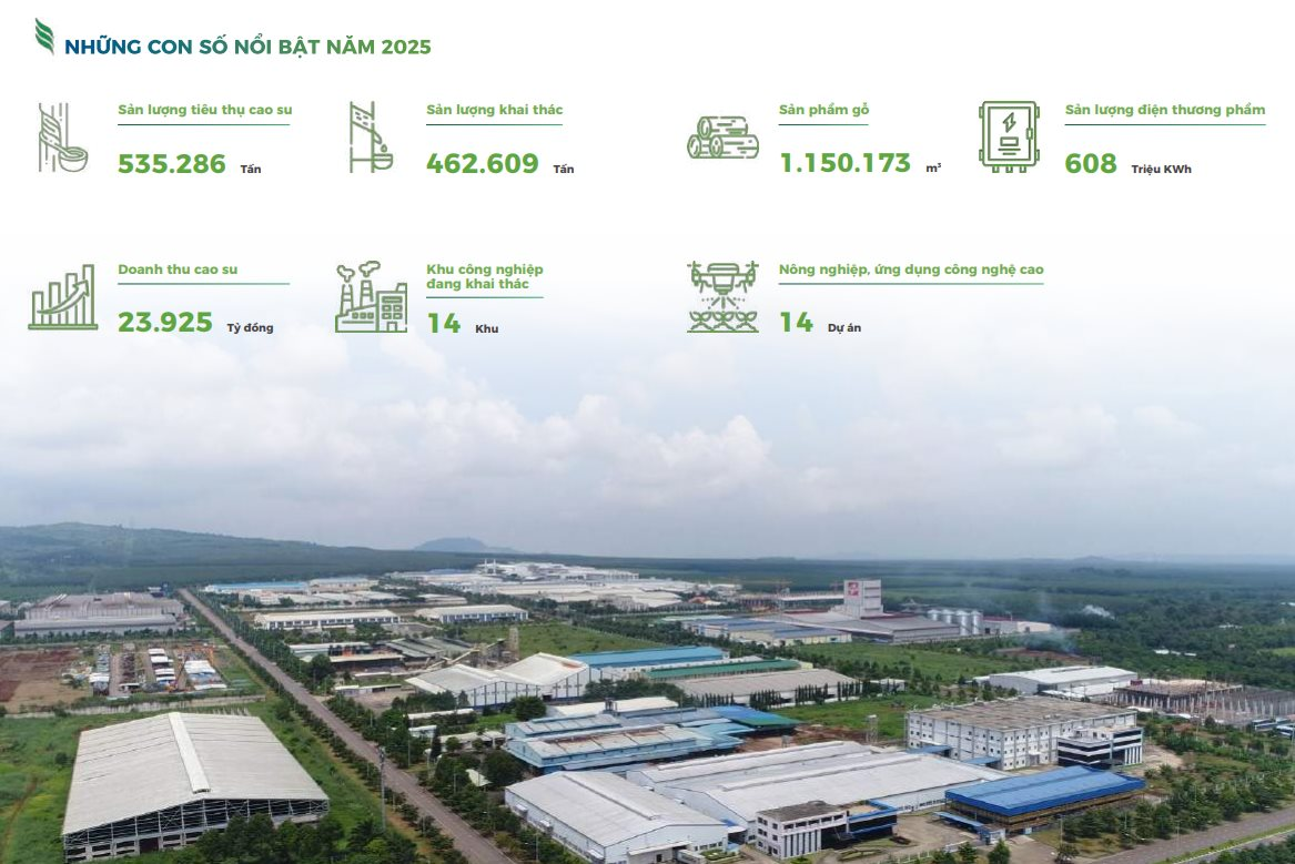 Một tập đoàn Nhà nước trả cho nhân sự trung bình 53 triệu đồng/tháng- Ảnh 2.