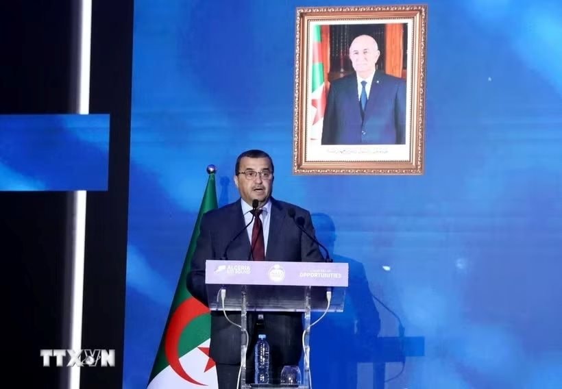 Đấu thầu thăm dò 7 lô dầu khí ở quốc gia Bắc Phi xuất khẩu khí tự nhiên lớn thứ 2 thế giới, DN Việt Nam nào xuất hiện?- Ảnh 1.