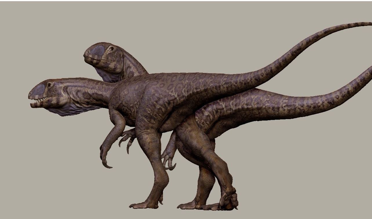 Quái vật 201 triệu tuổi "trỗi dậy" từ mỏ đá ở Mỹ - Ảnh 1.