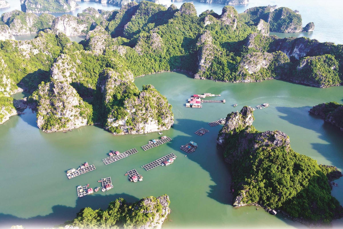 Chính phủ phê duyệt nhiệm vụ lập Quy hoạch bảo tồn, phát huy tiềm năng vịnh Hạ Long- Ảnh 1.