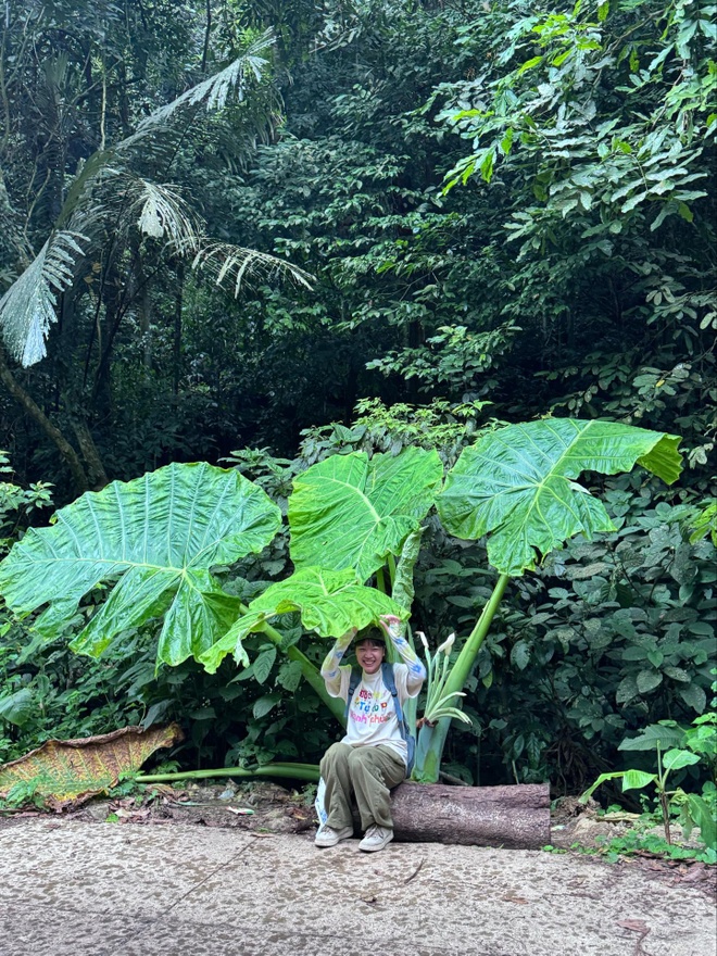 Khuyến cáo những ai tới Vườn Quốc gia Cúc Phương ngay lúc này - Ảnh 6.