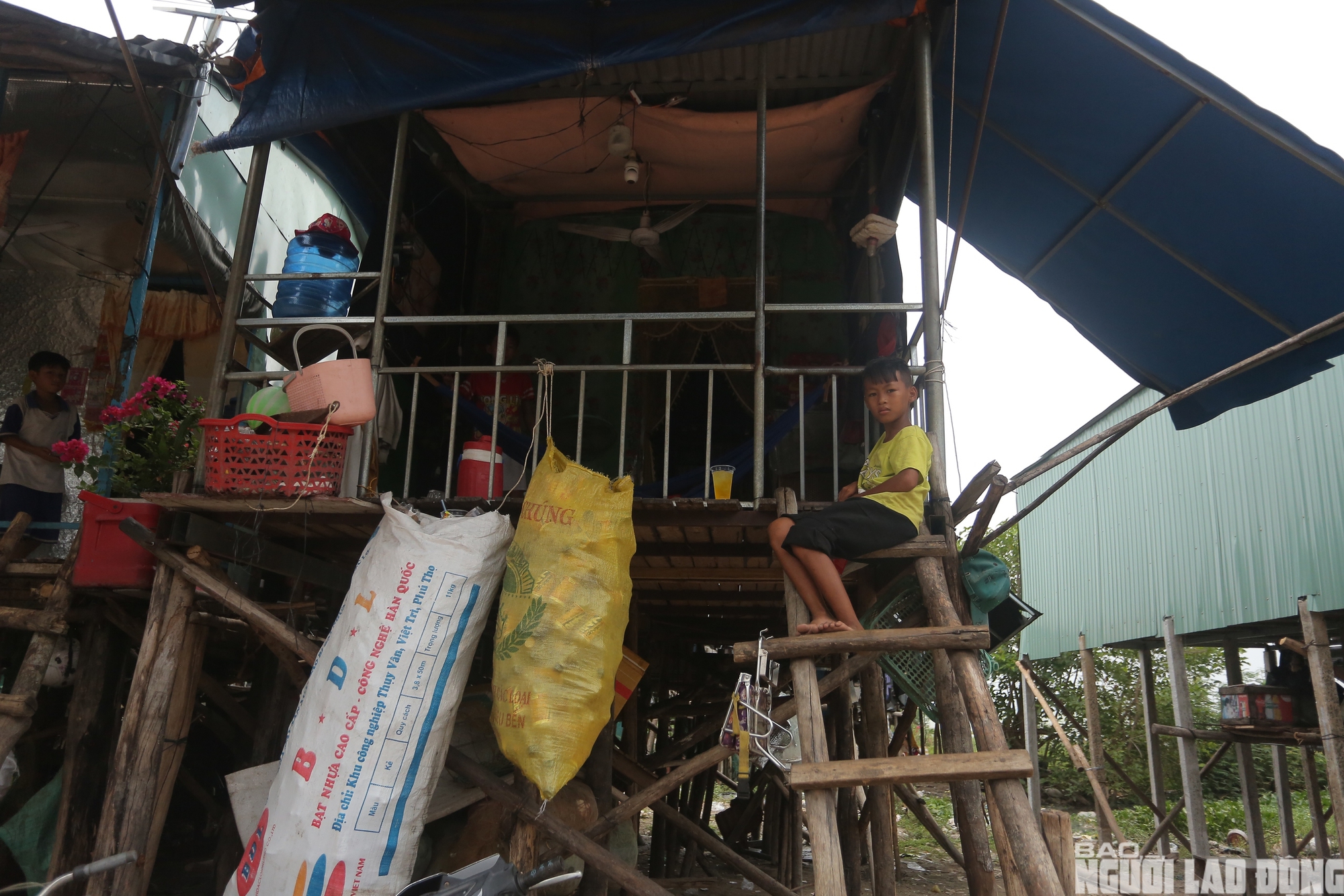 Chật vật mưu sinh ở xóm Việt kiều ven hồ Dầu Tiếng 2026 - Ảnh 2.