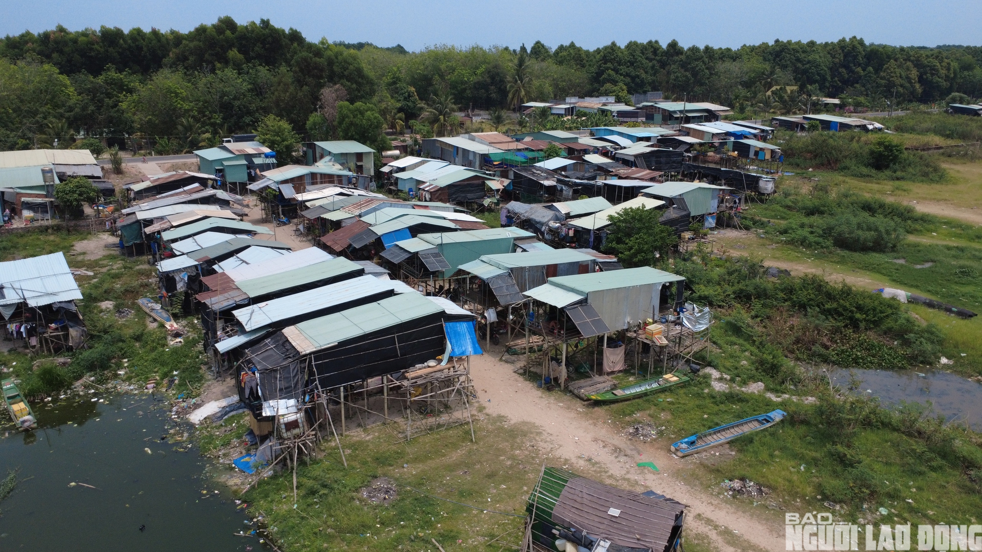 Chật vật mưu sinh ở xóm Việt kiều ven hồ Dầu Tiếng 2026 - Ảnh 3.