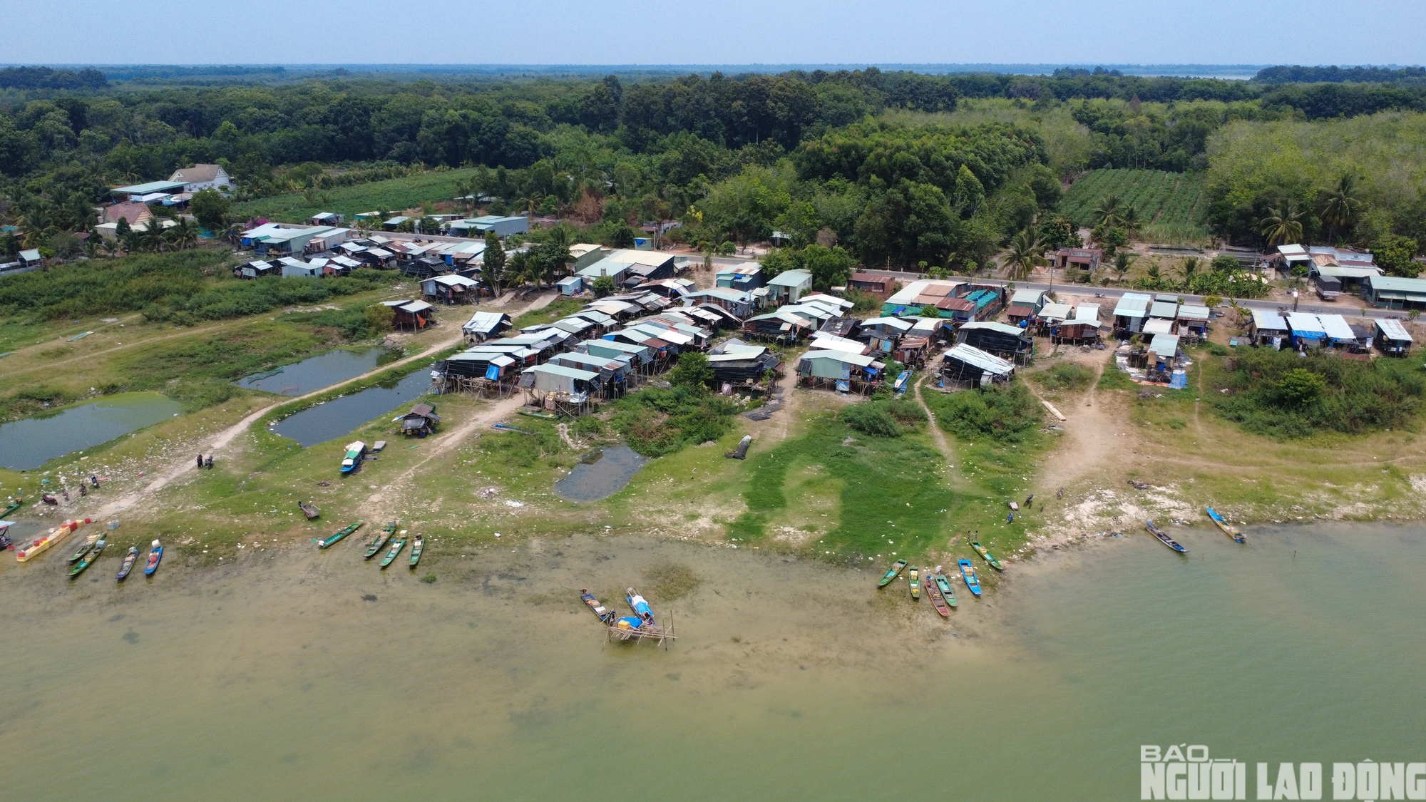 Chật vật mưu sinh ở xóm Việt kiều ven hồ Dầu Tiếng 2026 - Ảnh 7.