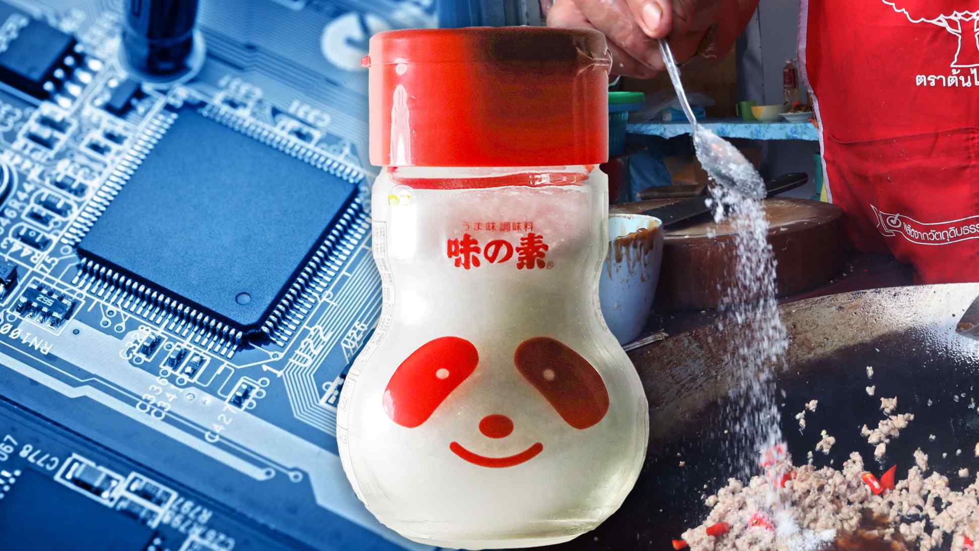 Bạn có thể sống thiếu Ajinomoto nhưng hãng chip thì không: Ngành AI Nhật Bản đang phụ thuộc vào công ty bồn cầu và bột ngọt- Ảnh 2.
