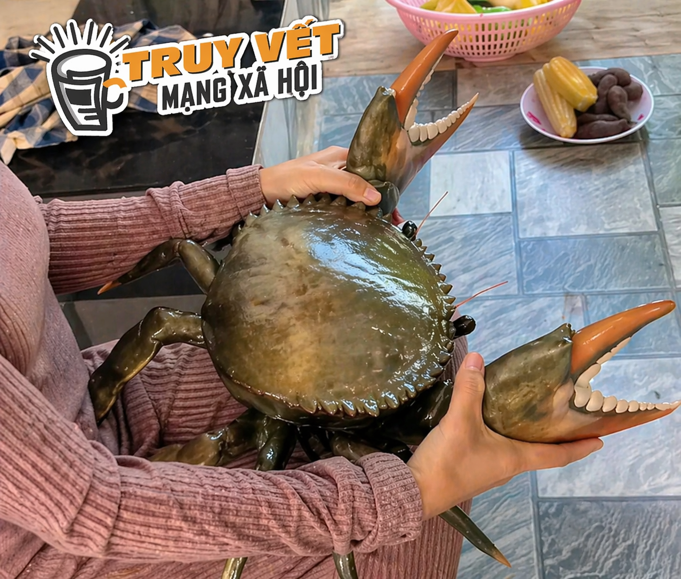 Clip con cua 7 kg ở An Giang nổi tiếng mạng xã hội với 4,4 triệu lượt xem - Ảnh 2.