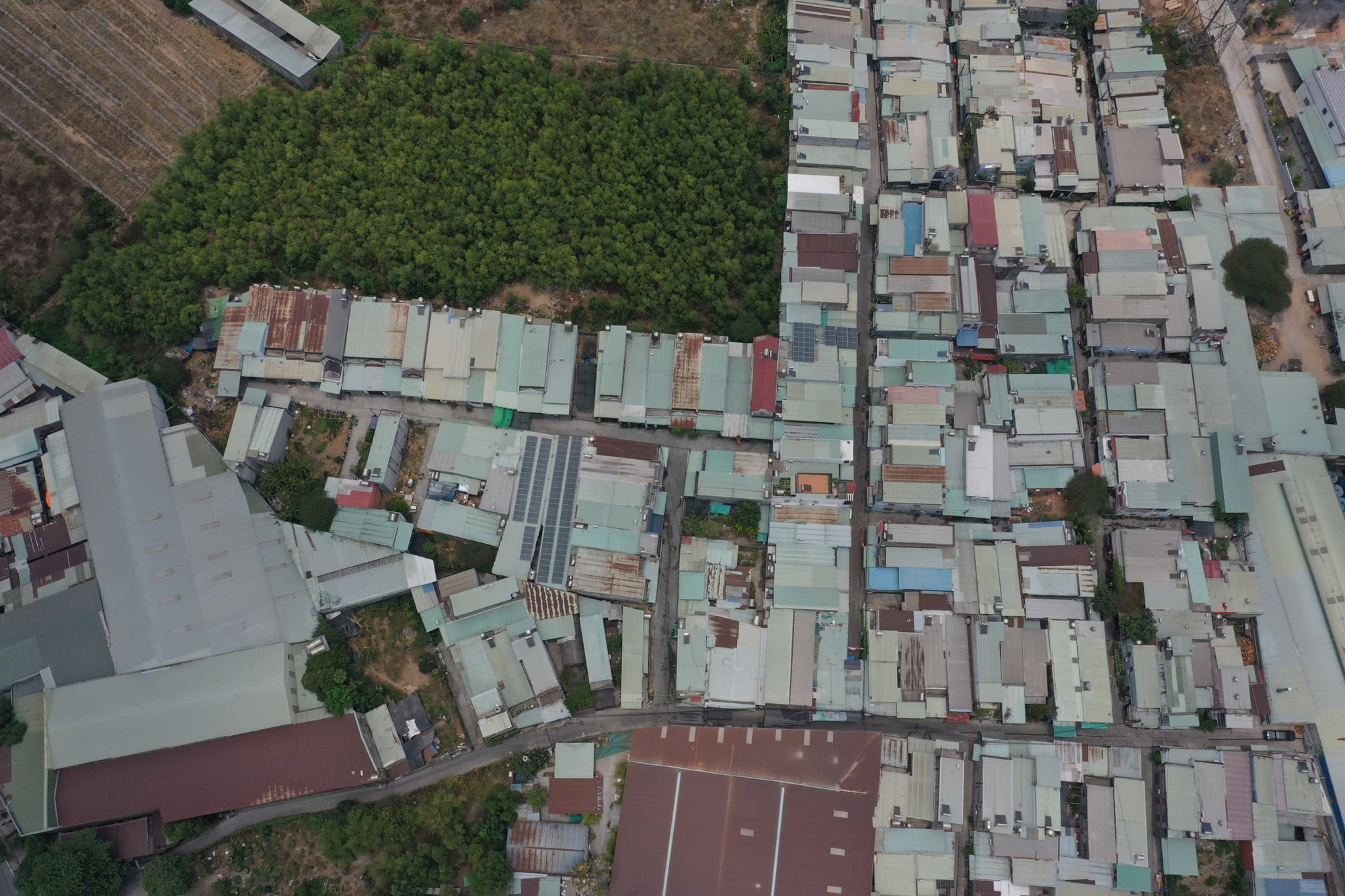 Chính quyền xử lý 48 căn nhà xây trái phép tại TP HCM: Bảo đảm điện nước cho người dân - Ảnh 1.