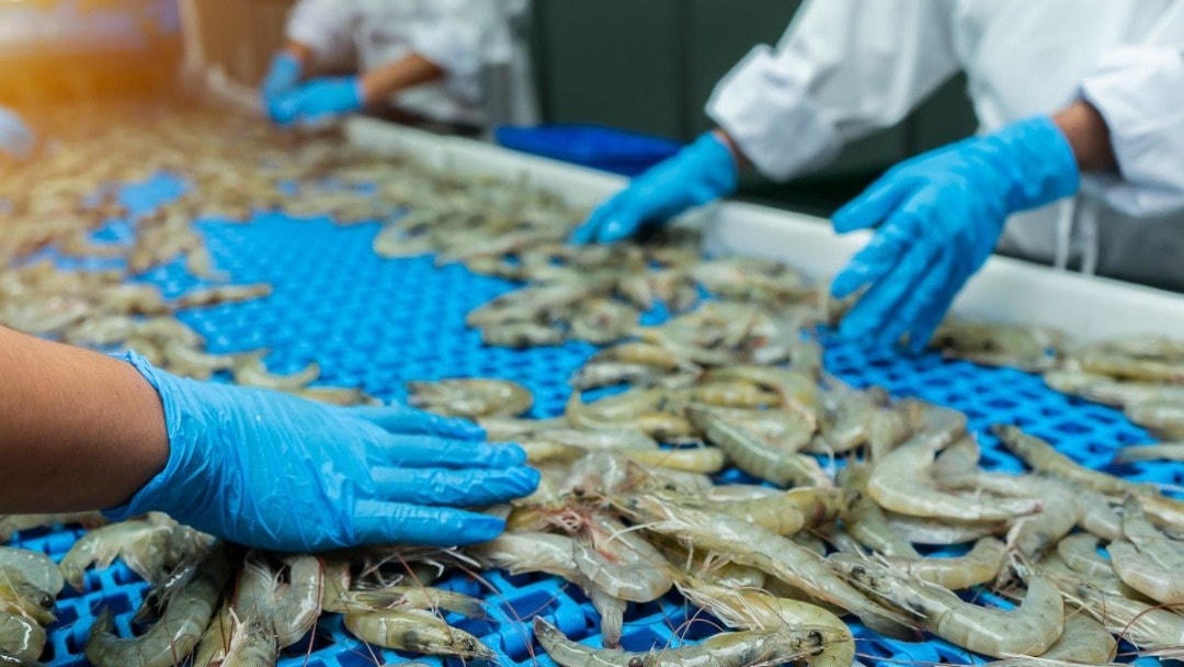 Ngành tôm đối mặt nhiều thách thức - Ảnh 1.